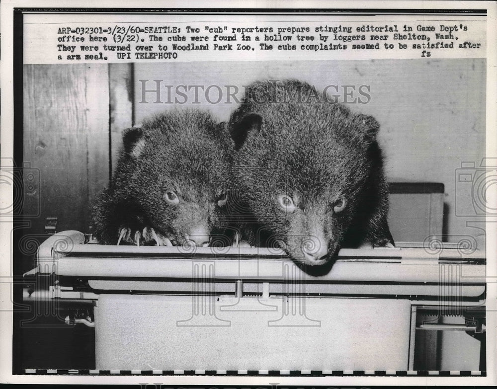 1960 Press Photo 2 Cubs Prepare Stinging Editorial In Game Dept.&#39;s Office - Historic Images