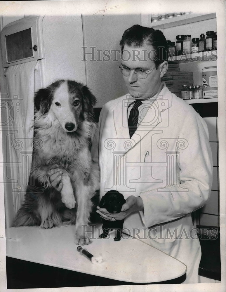 1950 Press Photo Animal Hospital Springfield Missouri Hubert Marler - neb18952 - Historic Images