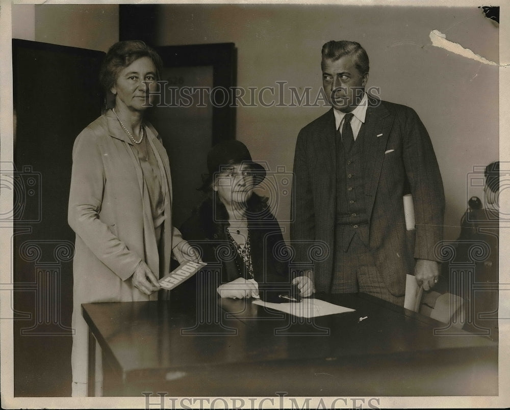 1928 Mrs F Louis Slade Chairman Women&#39;s Division Hoover Headquarters - Historic Images