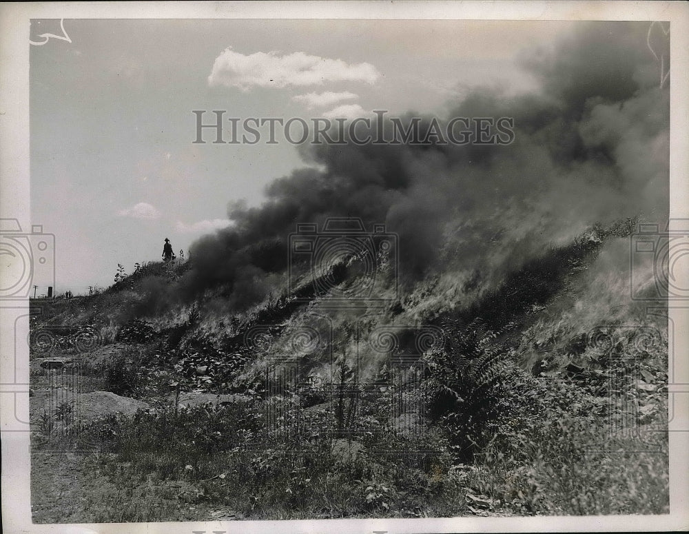 1937 Press Photo Vacant Home Site Set On Fire Due To Cricket Invasion Camden - Historic Images