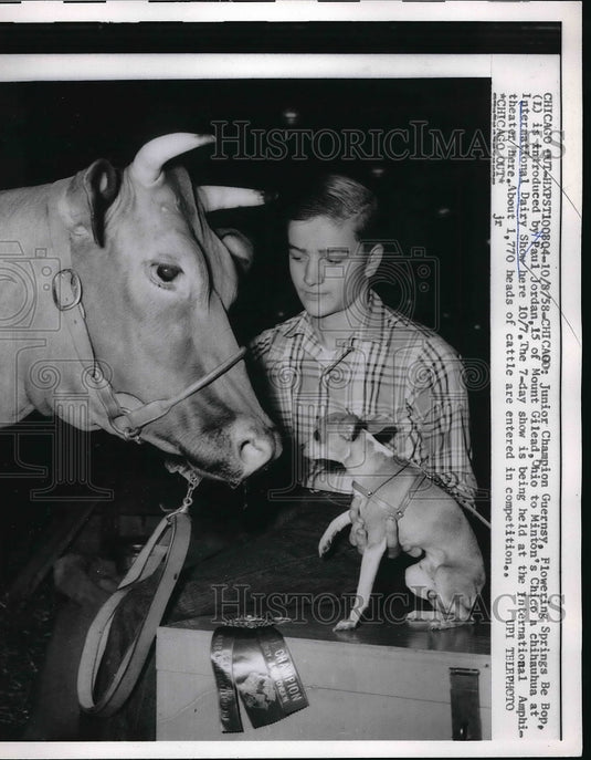 1958 Press Photo Paul Jordan with Junior Champion Guernsy at Int'l Dairy Show - Historic Images