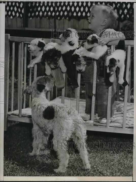 1945 Press Photo Bobbie Bruce, San Francisco, with his six puppies - Historic Images