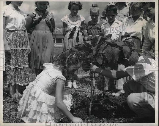 1954 Press Photo European School children at Turen, planting trees - Historic Images