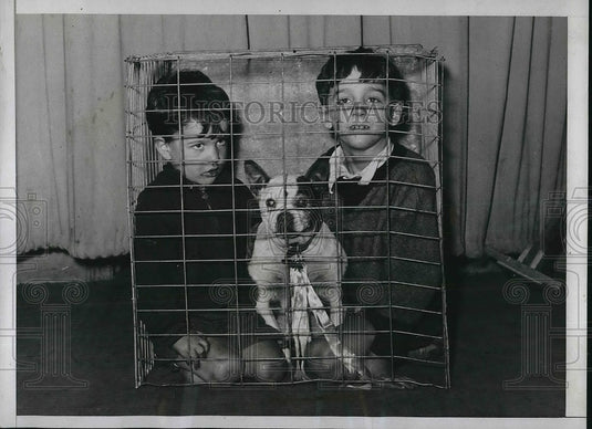 19334 Press Photo Kips Bay Boys Club Hold Pet Show Billy & Tommy Downs - Historic Images