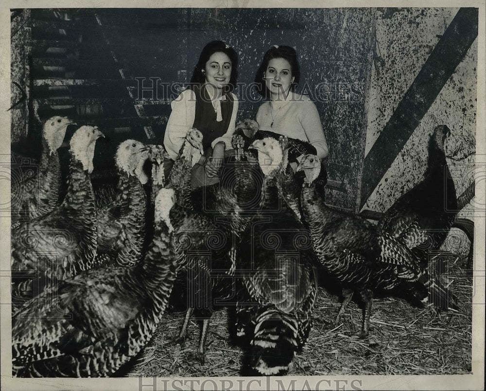 1945 Press Photo Turkeys at Bickart Poultry - Historic Images