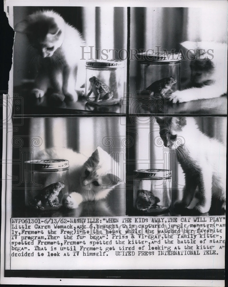 1962 Kitten Priss And Vinegar Plays With Frog In A Jar - Historic Images