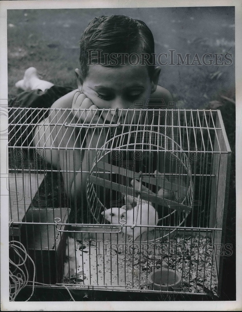 1966 Press Photo Paul E Thompson Looks At His New Pet Hampster - Historic Images