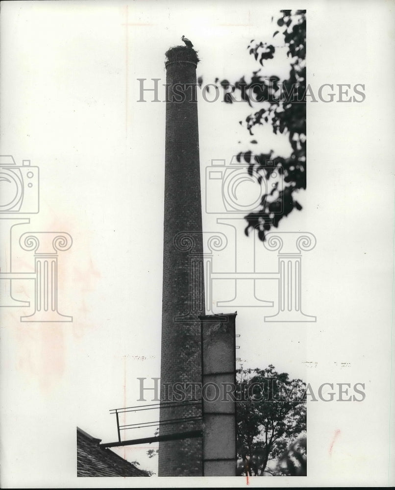 1957 Press Photo Storks perched in nest atop a smokestack in Germany-Historic Images