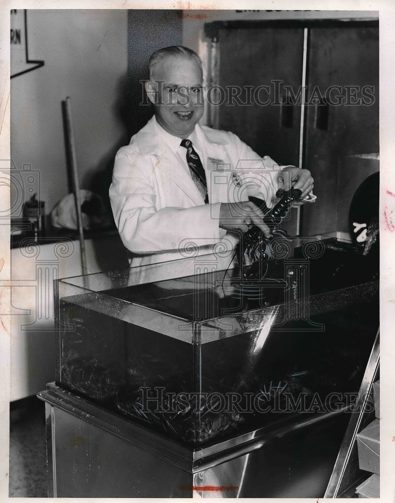 1954 Press Photo Robert Ramsthorne Meat Manager At Westgate Pick-N-Pay - Historic Images