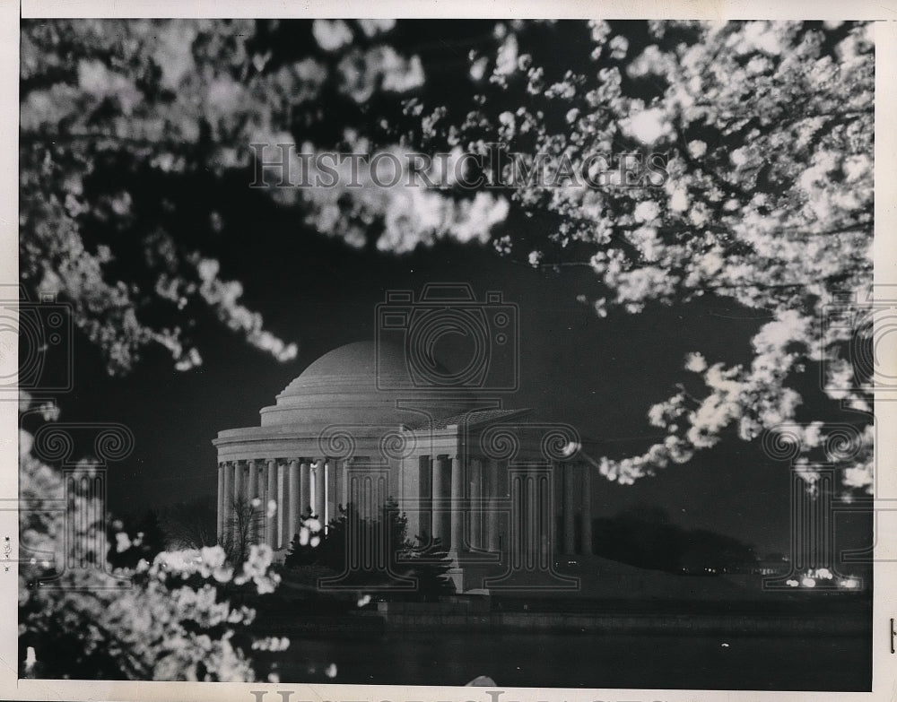 1948 Press Photo Famed Cherry Blossom Trees in Washington - Historic Images