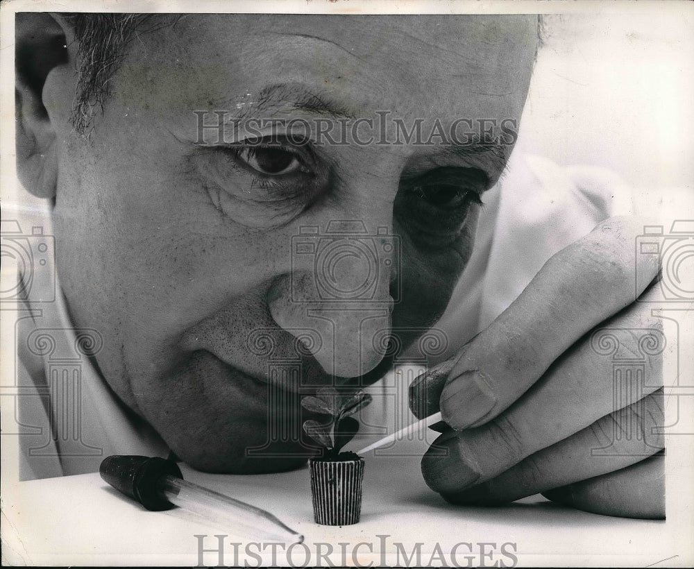 1957 Harry using an eye dropper to water a Boxwood planted in a - Historic Images