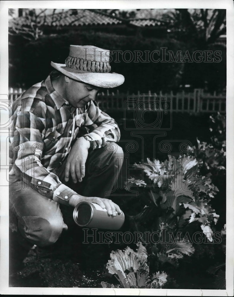 1966 Press Photo An easy to handle shaker can is effective when using the - Historic Images