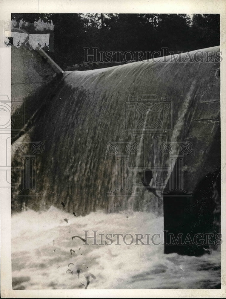 1929 View of dam showing leaping salmon-Historic Images