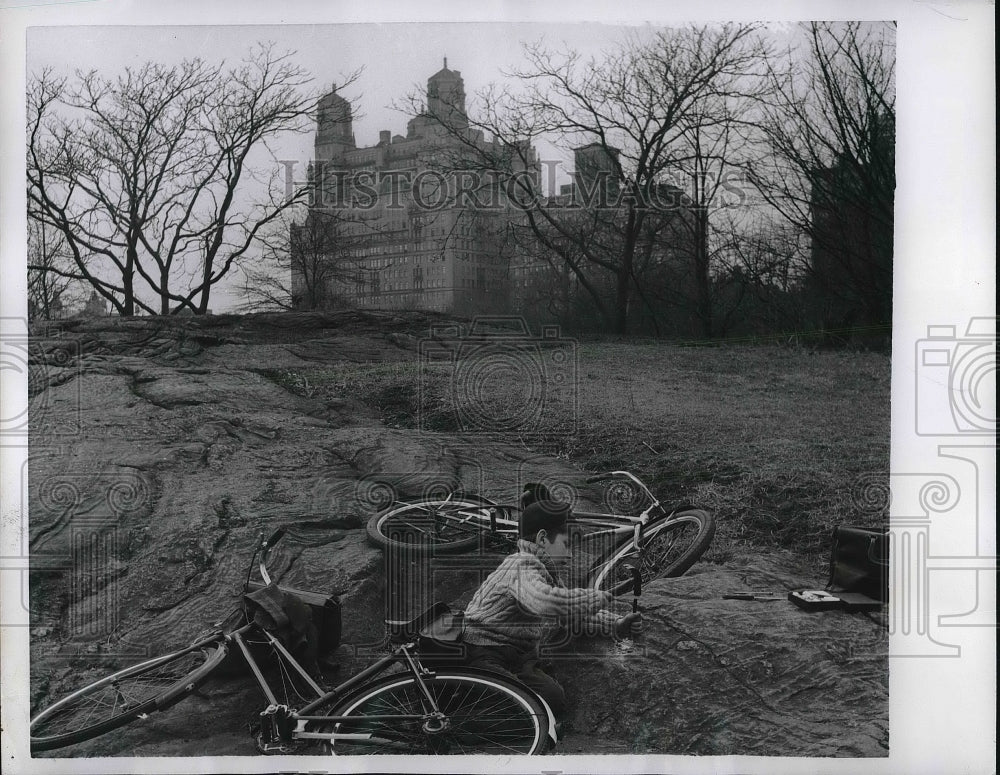 1956 Press Photo Central Park New York City-Historic Images