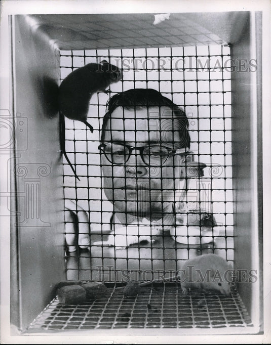 1951 Cancer researcher - Historic Images