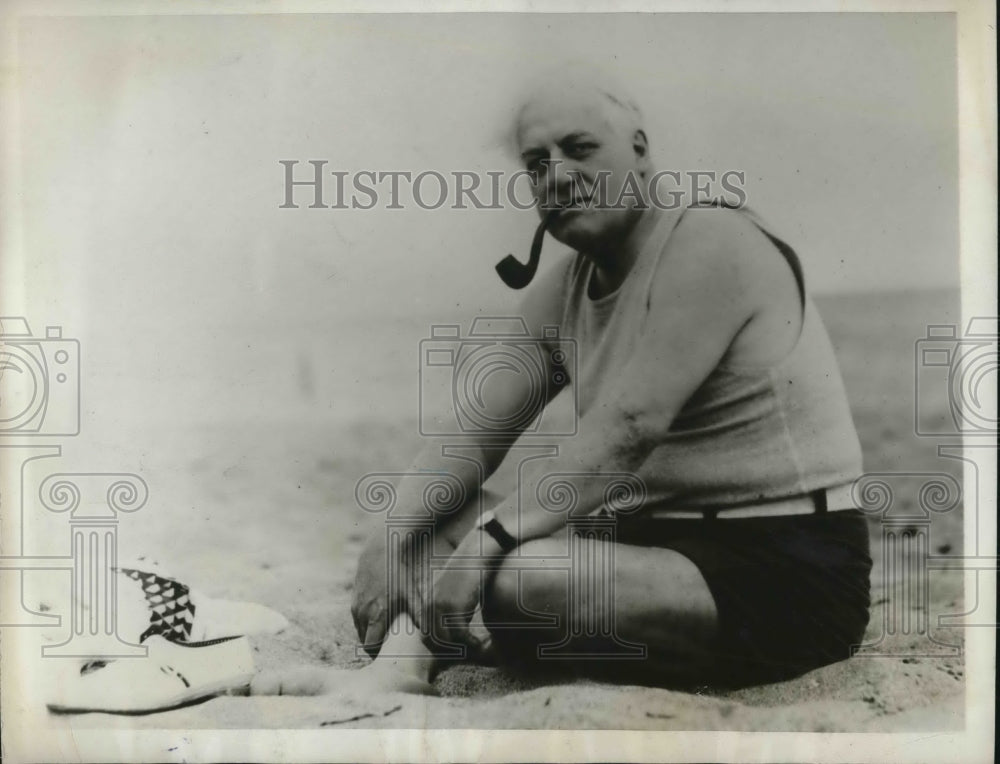 1929 Press Photo A Mitchell Palmer Former Alien Property Custodian - Historic Images