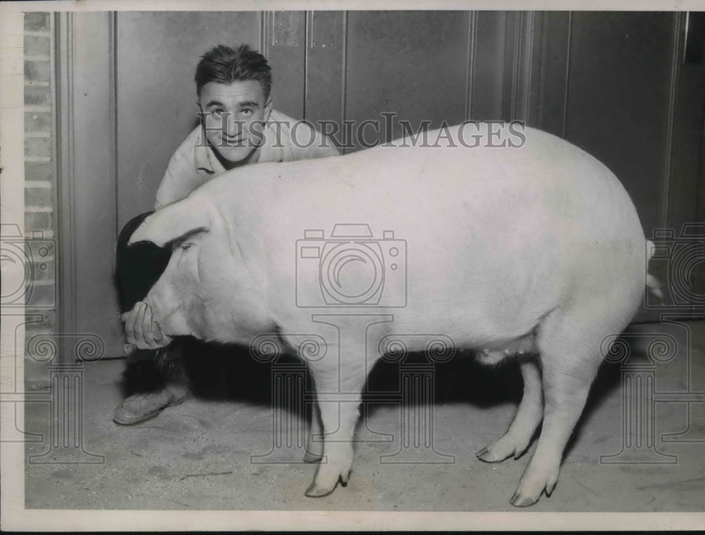 1935 Chester White wont the grand prize at Intl.Livestock ic Chicago - Historic Images