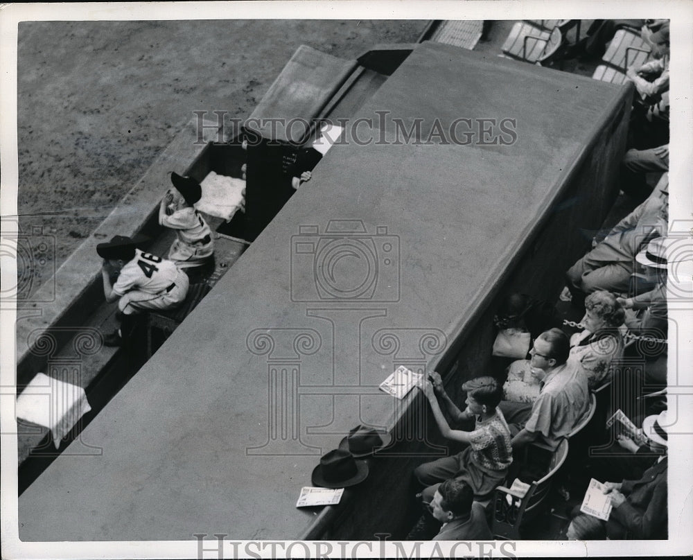 1952 Press Photo Dale jansen & Chris Durocher sons of NY Giants at the dugout-Historic Images