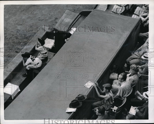 1952 Press Photo Dale jansen & Chris Durocher sons of NY Giants at the dugout-Historic Images