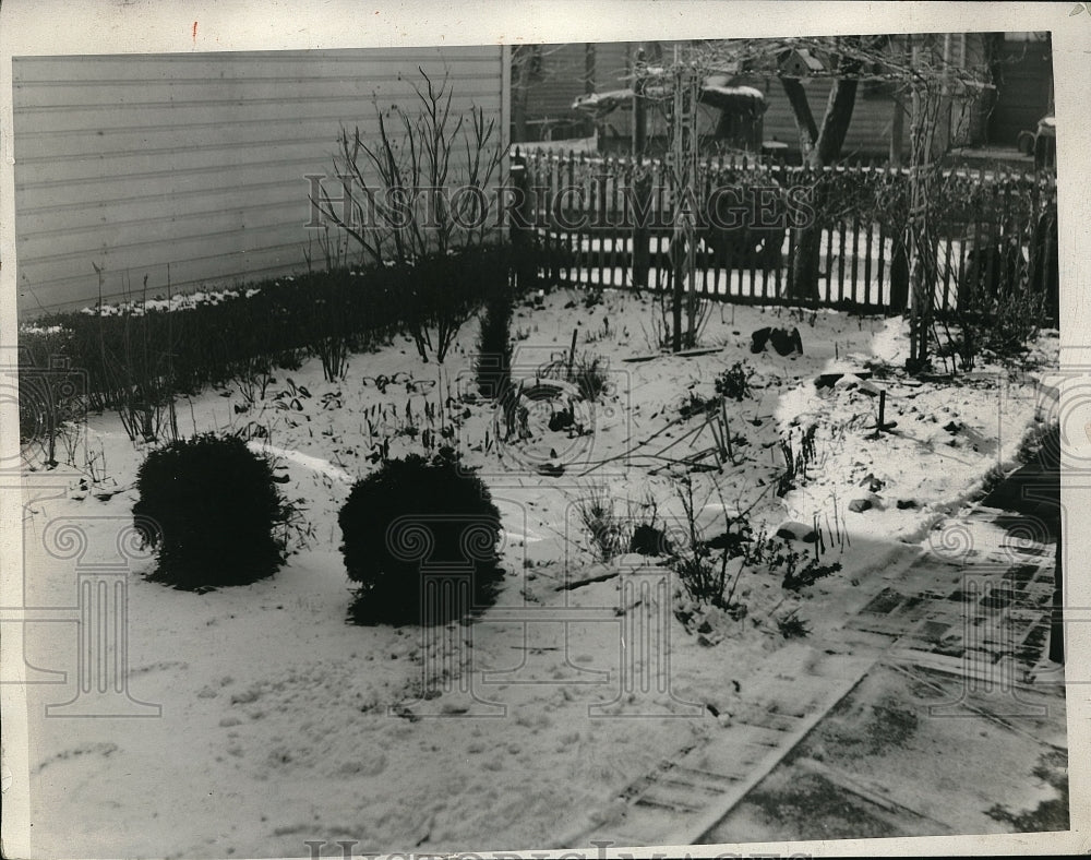 1933 Press Photo Snow in Garden-Historic Images