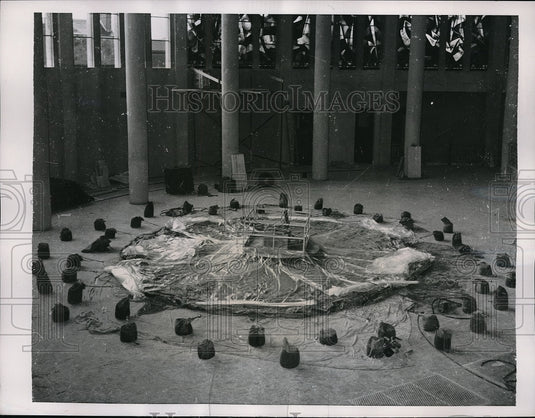 1956 Press Photo Balloon to be used to paint dome of St. Peter's Church, Yvetot - Historic Images