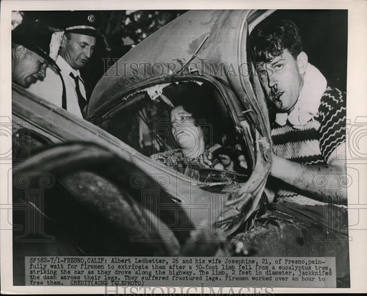 1949 Albert Ledbetter & Wife in pain after Eucalyptus tree fell. - Historic Images