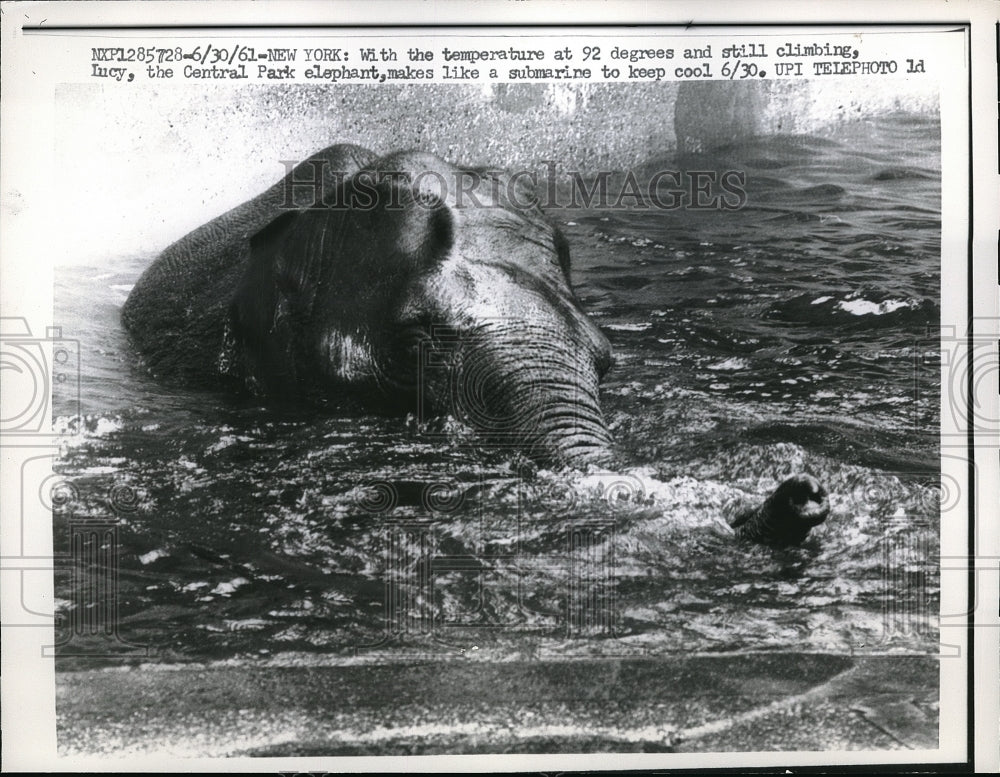 1961 Press Photo Elephant in Central Park - Historic Images