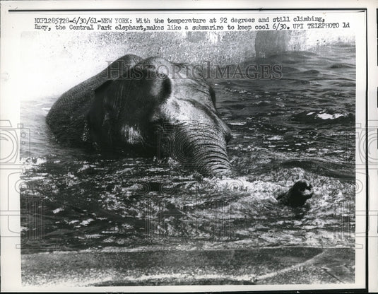 1961 Press Photo Elephant in Central Park - Historic Images