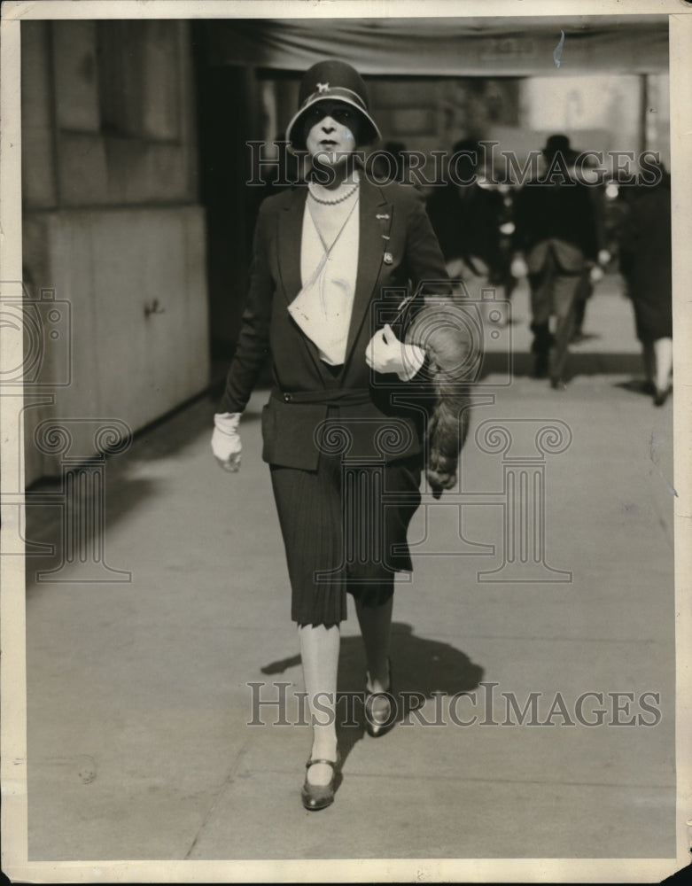 1929 Agnes Donahue Strolling down Park Avenue in New York City-Historic Images