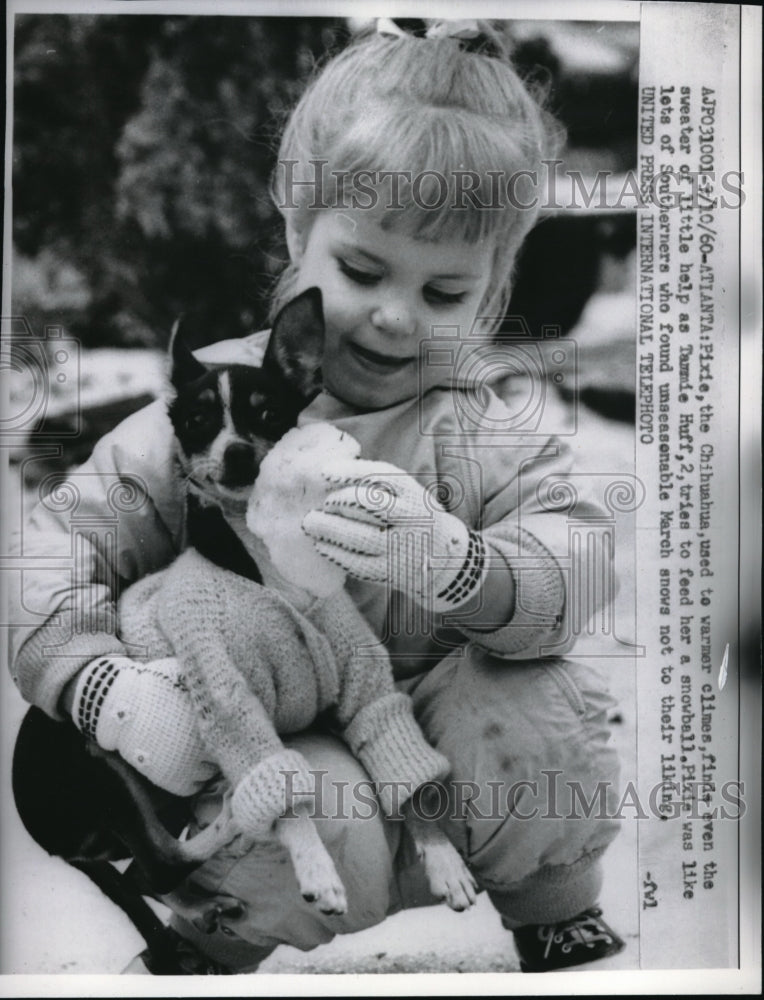 1960 Press Photo Tammie Huff Feeds Snowball to Pixie, The Chihuahua in Atlanta-Historic Images