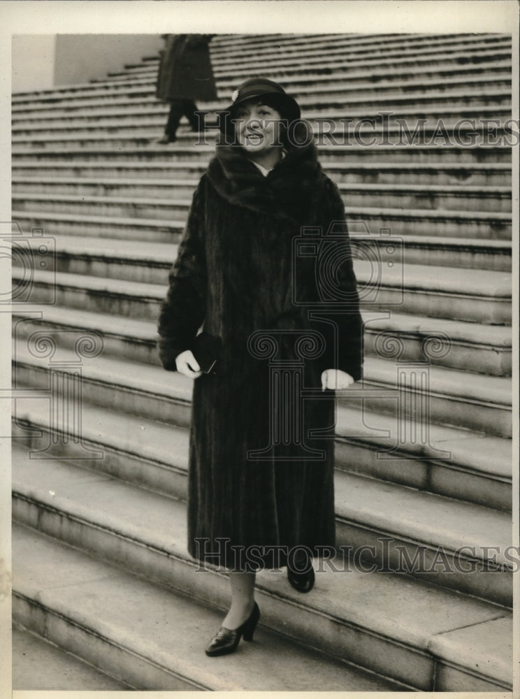 1932 Press Photo Mrs William Randolph Hearst wife of the publisher in DC - Historic Images