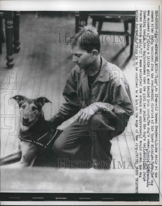 1957 Press Photo Donnie Anderson of Menominee, MI, & Accused Child Biter "Tippy" - Historic Images