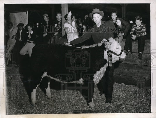 1945 Press Photo Brian Harders & Hereford cow at Great Western Livestock show-Historic Images