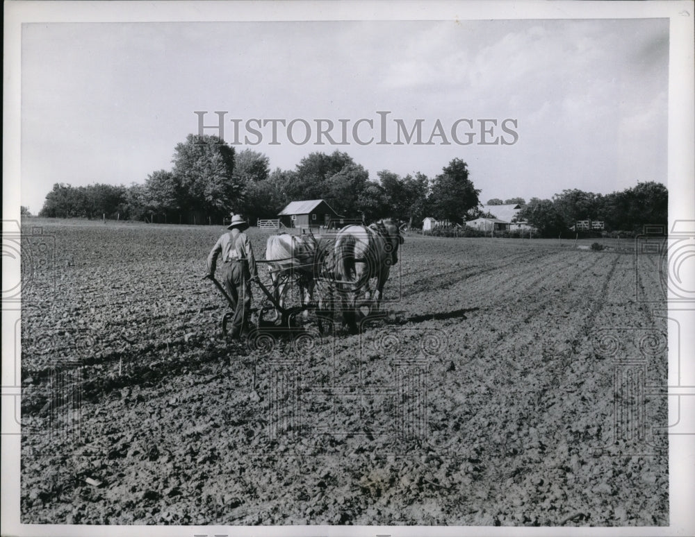 1958 Press Photo Albert Wollard of Dunnigan Mo. tills his Corn Fields-Historic Images