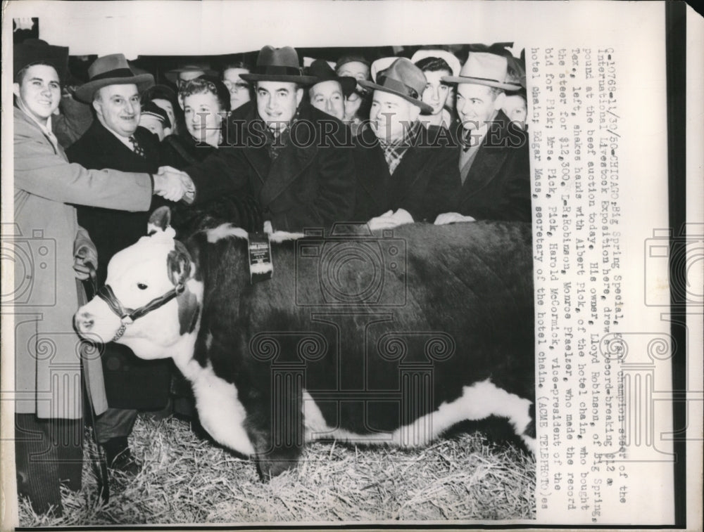 1950 Press Photo Grant Champion Steer Of The International Livestock Exposition - Historic Images