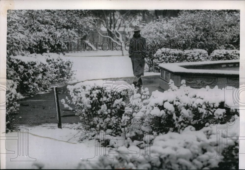 1955 William Gray walks in heavy snowfall at Amarilo Texas - Historic Images