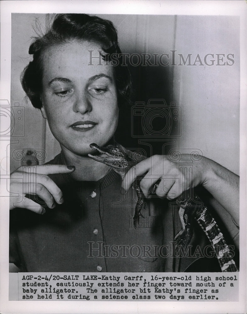 1955 Student Kathy Garff Holds Finger to Mouth of Alligator - Historic Images