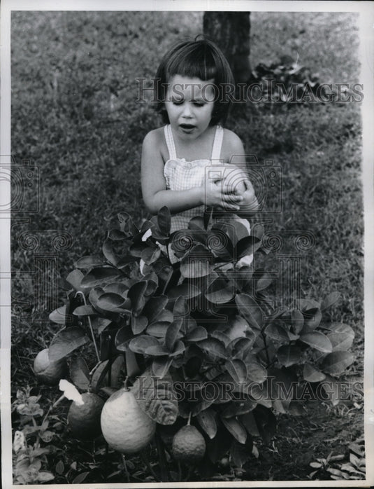 1960 Press Photo Topeka, KS Carla Rae Hirschberger & lemon tree - neb44386 - Historic Images