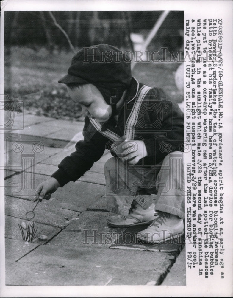 1958 Press Photo Glendale, Mo Keith Bowser, age 2 waters crocus flowers - Historic Images