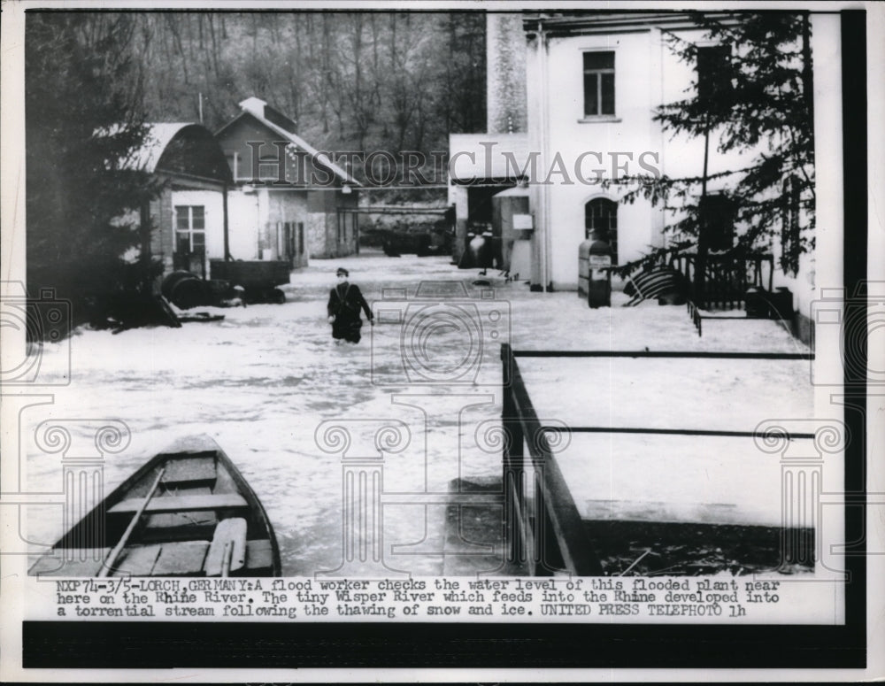 1956 Press Photo Flood worker check water level of flooded plant in Rhine River. - Historic Images