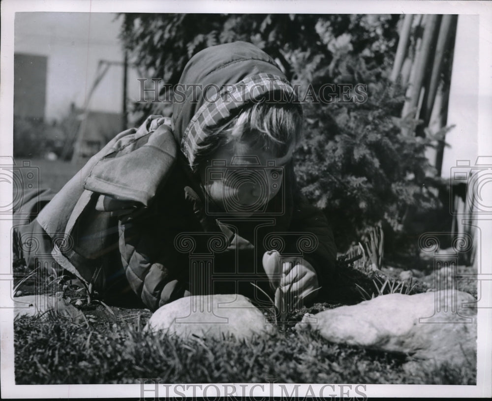 1954 Press Photo Gay Marglin of N.Y. observed a Crocus during a spring time. - Historic Images