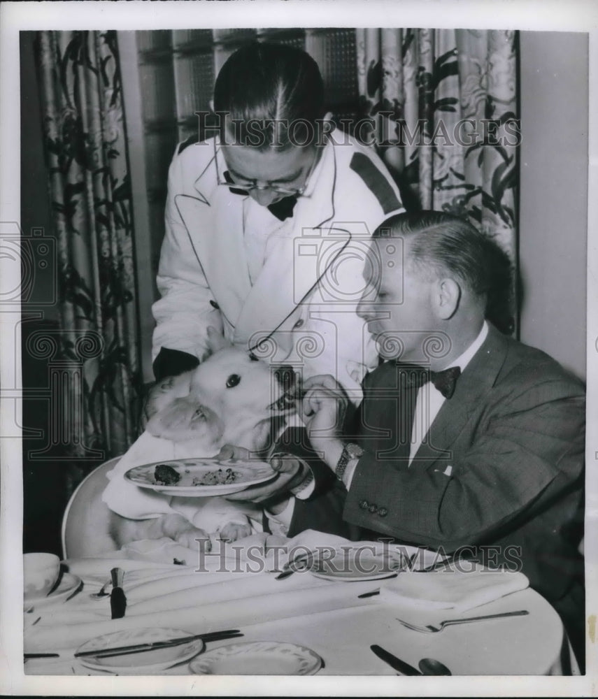 1954 Press Photo Phila.Pa. Dr Russell Teague, M Williams &amp; Dof Research Hero Flo - Historic Images