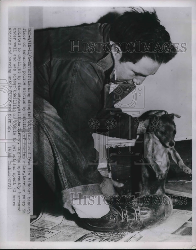 1951 Wm Turner rescues terrier pup trapped under a floor - Historic Images