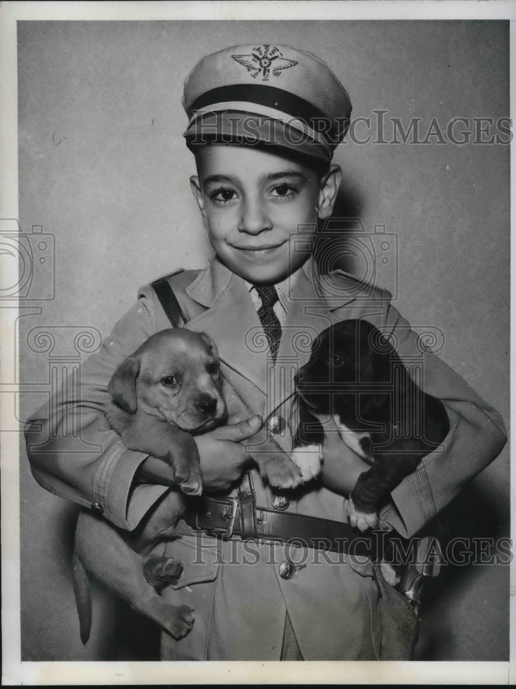 1942 Press Photo Flint, Mich Frank Tasson Jr &amp; his beagle puppies - neb45293 - Historic Images