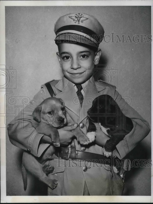 1942 Press Photo Flint, Mich Frank Tasson Jr & his beagle puppies - neb45293 - Historic Images