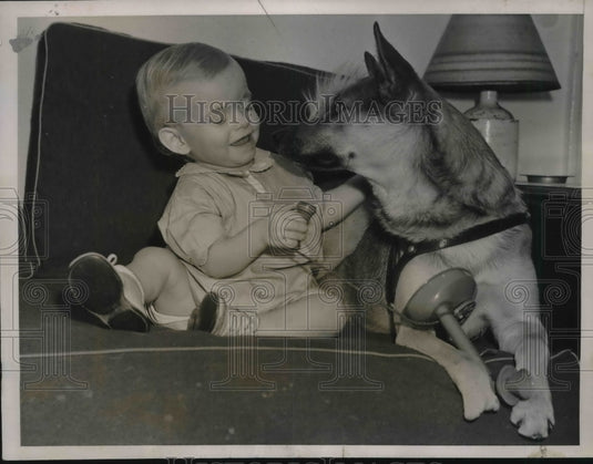 1937 Press Photo NYC baby Frederick Thompson & his German shepherd babysitter - Historic Images