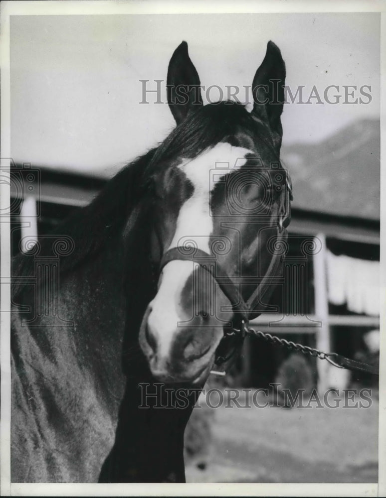 1936 Press Photo Santa Anita Handicap Winner Time Supply Owned By FA Carreaud - Historic Images