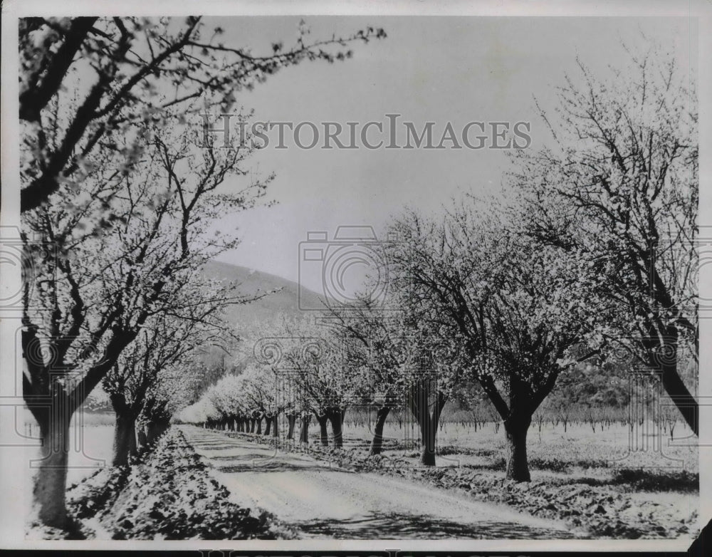 1934 Charming Vista in Northern California-Historic Images