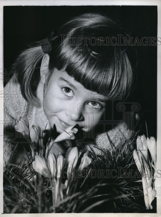 1960 London, England, Caroline Bell & new crocus flowers blooming - Historic Images