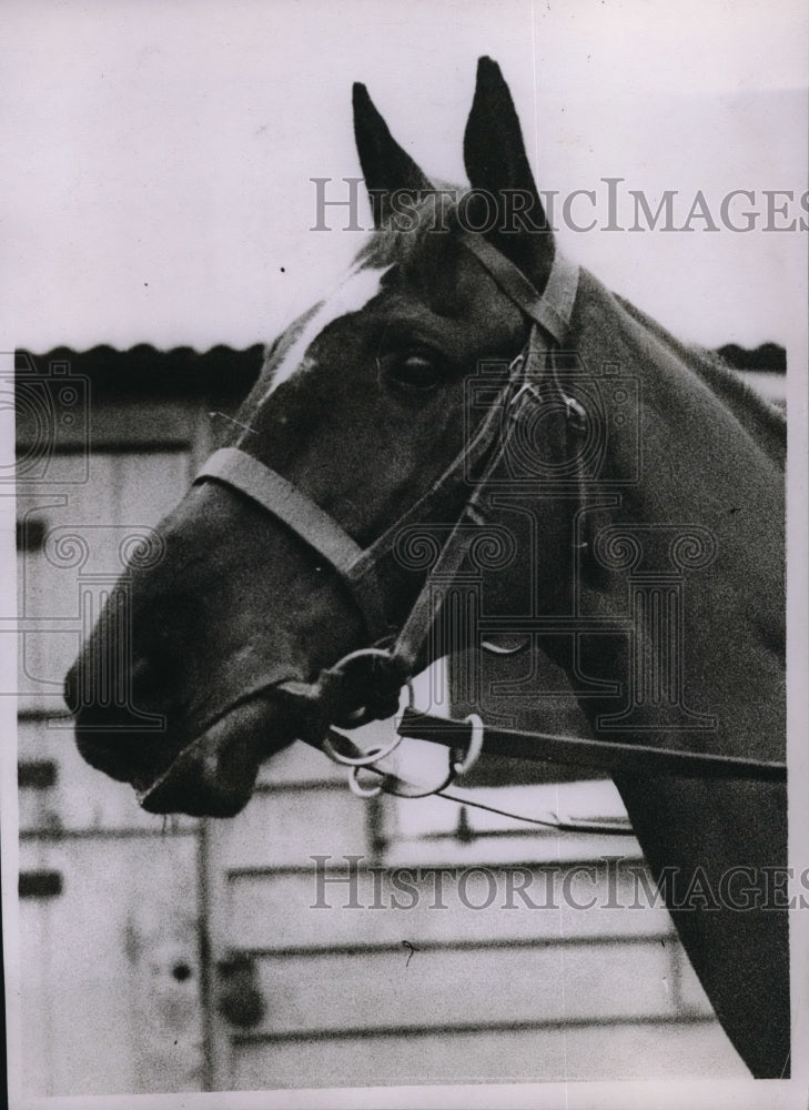 1934 Racehorse Slater to Run In Grand National In England-Historic Images